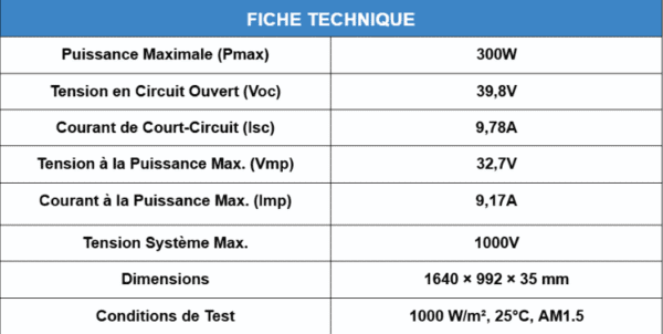 PANNEAU SOLAIRE MONO 300W – Image 2